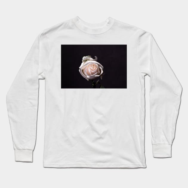 White rose on black background Long Sleeve T-Shirt by blossomcophoto